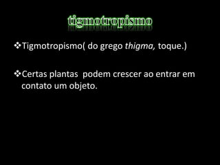 Tigmotropismo( do grego thigma, toque.)
Certas plantas podem crescer ao entrar em
contato um objeto.
 