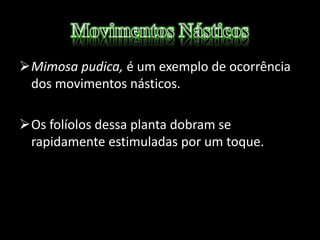 Mimosa pudica, é um exemplo de ocorrência
dos movimentos násticos.
Os folíolos dessa planta dobram se
rapidamente estimuladas por um toque.
 