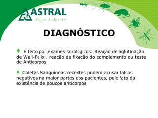 DIAGNÓSTICO
 É feito por exames sorológicos: Reação de aglutinação
de Weil-Felix , reação de fixação do complemento ou teste
de Anticorpos
 Coletas Sanguíneas recentes podem acusar falsos
negativos na maior partes dos pacientes, pelo fato da
existência de poucos anticorpos

 