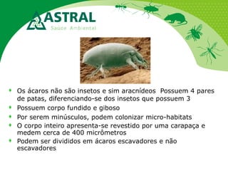 






Os ácaros não são insetos e sim aracnídeos Possuem 4 pares
de patas, diferenciando-se dos insetos que possuem 3
Possuem corpo fundido e giboso
Por serem minúsculos, podem colonizar micro-habitats
O corpo inteiro apresenta-se revestido por uma carapaça e
medem cerca de 400 micrômetros
Podem ser divididos em ácaros escavadores e não
escavadores

 