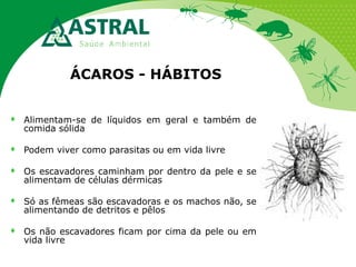 ÁCAROS - HÁBITOS


Alimentam-se de líquidos em geral e também de
comida sólida



Podem viver como parasitas ou em vida livre



Os escavadores caminham por dentro da pele e se
alimentam de células dérmicas



Só as fêmeas são escavadoras e os machos não, se
alimentando de detritos e pêlos



Os não escavadores ficam por cima da pele ou em
vida livre

 