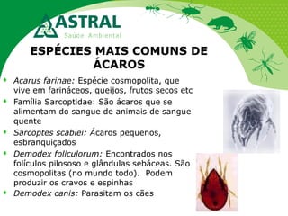 ESPÉCIES MAIS COMUNS DE
ÁCAROS










Acarus farinae: Espécie cosmopolita, que
vive em farináceos, queijos, frutos secos etc
Família Sarcoptidae: São ácaros que se
alimentam do sangue de animais de sangue
quente
Sarcoptes scabiei: Ácaros pequenos,
esbranquiçados
Demodex foliculorum: Encontrados nos
folículos pilososo e glândulas sebáceas. São
cosmopolitas (no mundo todo). Podem
produzir os cravos e espinhas
Demodex canis: Parasitam os cães

 