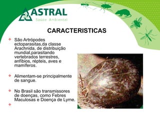 CARACTERISTICAS


São Artrópodes
ectoparasitas,da classe
Arachnida, de distribuição
mundial,parasitando
vertebrados terrestres,
anfíbios, répteis, aves e
mamíferos.



Alimentam-se principalmente
de sangue.



No Brasil são transmissores
de doenças, como Febres
Maculosas e Doença de Lyme.



 