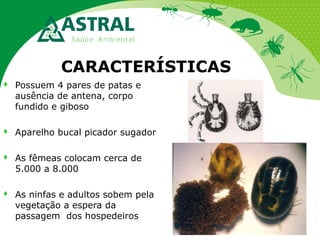 CARACTERÍSTICAS


Possuem 4 pares de patas e
ausência de antena, corpo
fundido e giboso



Aparelho bucal picador sugador



As fêmeas colocam cerca de
5.000 a 8.000



As ninfas e adultos sobem pela
vegetação a espera da
passagem dos hospedeiros

 