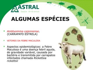 ALGUMAS ESPÉCIES


Amblyomma cajennense.
(CARRAPATO ESTRELA)



VETORES DA FEBRE MACULOSA



Aspectos epidemiológicos: a Febre
Maculosa é uma doença febril aguda,
de gravidade variável, causada por
bactéria e transmitida por carrapatos
infectados chamada Rickettsia
rickettsii

 