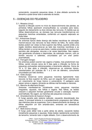 CPEA – Centro Paulista de Estudos Agropecuários
R.Pindorama, nº 7 – Jd. Pindorama – Embu – CEP 06844-540
Tel : 42418503 – Email cpeasp@agrocursos.org.br
Visite nosso site : www.agrocursos.org.br
10
pulverulento, ocupando pequenas áreas. A área afetada aumenta de
tamanho e pode tomar toda a extensão do tecido.
5 – DOENÇAS DO FEIJOEIRO
5.1 - Mosaico (vírus)
Quando a infecção ocorre no início do desenvolvimento das plantas, as
primeiras folhas aparecem encarquilhadas ou curvadas para baixo,
seguido de clareamento ou leve clorose das nervuras. À medida que as
folhas desenvolvem-se, as cloroses nas nervuras transformam-se em
pequenas manchas amareladas, conferindo um aspecto salpicado ao
limbo foliar.
5.2 - Antracnose (fungo)
Os sintomas típicos desta doença são lesões necróticas de coloração
marrom-escura nas nervuras na face inferior da folha. Às vezes estas
lesões podem ser vistas na face superior das folhas, quando então uma
região clorótica desenvolve-se ao lado das manchas necróticas e as
folhas tendem a curvar-se para baixo. Lesões produzidas no caule e nos
pecíolos são alongadas, escuras e às vezes deprimidas. Nas vagens,
são geralmente circulares e deprimidas, de coloração marrom, com os
bordos escuros e salientes, circundados por um anel pardo-
avermelhado.
5.3 - Ferrugem (fungo)
Os sintomas podem ocorrer nas vagens e hastes, mas predominam nas
folhas, sendo visíveis cerca de 6 dias após a infecção na forma de
pequenas pontuações esbranquiçadas e levemente salientes. Cerca de
10 a 12 dias após a infecção, observam-se os sintomas típicos,
caracterizados por pústulas de 1 a 2 mm de diâmetro, comumente
circundados por halo clorótico.
5.4 - Oídio (fungo)
Sintomas iniciam-se como pequenas manchas ligeiramente mais
escuras na face superior da folha, que em seguida ficam cobertas por
um crescimento do fungo branco e pulverulento. O patógeno pode
atacar ramos e vagens, tornando as últimas mal formadas e menores.
5.5 - Mancha de alternaria (fungo)
Sintomas manifestam-se inicialmente como pequenas manchas
irregulares, aquosas, nas folhas e vagens. Nas folhas, as lesões
crescem e adquirem formato geralmente circular e coloração marrom-
avermelhada. Na vagem, as manchas são pequenas e escuras.
5.6 - Amarelecimento de fusarium (fungo)
O fungo penetra pelo sistema radicular, causando descoloração dos
vasos. O principal sintoma é o amarelecimento progressivo das folhas,
das inferiores para as superiores. Com o desenvolvimento da doença, as
folhas adquirem um tom amarelo-claro, entrando em senescência
prematura.
5.7 - Mofo branco (fungo)
O fungo pode afetar toda a parte aérea da planta, causando lesões
inicialmente pequenas e aquosas. Estas lesões rapidamente aumentam
de tamanho, tomando todo o órgão afetado. Com o desenvolvimento da
 
