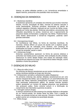CPEA – Centro Paulista de Estudos Agropecuários
R.Pindorama, nº 7 – Jd. Pindorama – Embu – CEP 06844-540
Tel : 42418503 – Email cpeasp@agrocursos.org.br
Visite nosso site : www.agrocursos.org.br
11
doença, as partes afetadas perdem a cor, tornando-se amareladas e
depois marrons, produzindo uma podridão mole nos tecidos.
6 - DOENÇAS DA MANDIOCA
6.1 - Bacteriose (bactéria)
A bacteriose apresenta um complexo de sintomas que envolve manchas
foliares, murcha, exsudação de látex, necrose do sistema vascular e
morte descendente. Sintomas primários, decorrentes do plantio de
material vegetativo infectado, traduzem-se por murcha de folhas novas,
seguida por morte das plantas. Sintomas secundários, provenientes das
infecções secundárias no campo, iniciam-se com o aparecimento de
pequenas lesões encharcadas e poligonais nas folhas. Posteriormente,
estas lesões desenvolvem e tornam-se irregulares, podendo cobrir
grandes extensões.
6.2 - Cercosporiose (fungo)
Só manifesta-se nas folhas, na forma de manchas necróticas. As
manchas, embora difiram um pouco de acordo com a espécie causal,
normalmente são de coloração cinza oliváceo, com presença de
frutificações do fungo no centro. Com o progresso da doença, as folhas
tornam-se amarelas, secam e caem.
6.3 - Antracnose (fungo)
Sintomas característicos aparecem na forma de cancros elípticos e
profundos nas hastes jovens e pecíolos. Sob condições de alta umidade,
observa-se no centro destas lesões uma massa de coloração rósea,
constituída por esporos do fungo. Em decorrência desta infecção, ocorre
desfolha e morte dos ponteiros.
7- DOENÇAS DO MILHO
7.1 - Risca do milho (vírus)
Os sintomas da doença caracterizam-se por pontos cloróticos e por
estrias cloróticas estreitas ao longo das nervuras.
7.2 - Enfezamento vermelho e enfezamento pálido (fitoplasma)
Os primeiros sintomas das plantas afetadas caracterizam-se por uma
clorose marginal das folhas, que é seguida por um avermelhamento das
pontas das folhas inferiores (enfezamento vermelho) ou uma clorose
mais acentuada (enfezamento pálido). As plantas doentes também
podem apresentar um número de espigas pequenas, que geralmente
não produzem grãos. Outro sintoma comum é a diminuição do
comprimento dos internódios superiores da planta.
7.3 - Ferrugem comum (fungo)
A doença caracteriza-se pela presença de pústulas elípticas e alongadas
de cor marrom-canela, em ambas faces da folha. Com o passar do
tempo, as pústulas tornam-se mais escuras. Clorose e morte das folhas
podem ocorrer em condições de severidade elevada.
7.4 - Míldio (fungo)
 