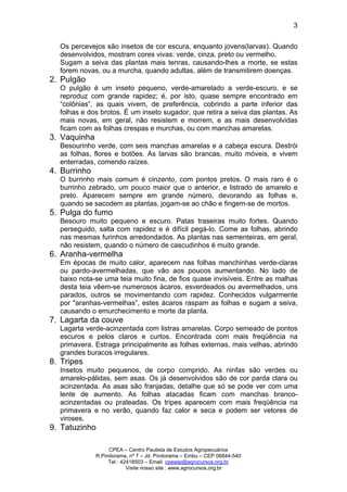 CPEA – Centro Paulista de Estudos Agropecuários
R.Pindorama, nº 7 – Jd. Pindorama – Embu – CEP 06844-540
Tel : 42418503 – Email cpeasp@agrocursos.org.br
Visite nosso site : www.agrocursos.org.br
3
Os percevejos são insetos de cor escura, enquanto jovens(larvas). Quando
desenvolvidos, mostram cores vivas: verde, cinza, preto ou vermelho.
Sugam a seiva das plantas mais tenras, causando-lhes a morte, se estas
forem novas, ou a murcha, quando adultas, além de transmitirem doenças.
2. Pulgão
O pulgão é um inseto pequeno, verde-amarelado a verde-escuro, e se
reproduz com grande rapidez; é, por isto, quase sempre encontrado em
“colônias”, as quais vivem, de preferência, cobrindo a parte inferior das
folhas e dos brotos. É um inseto sugador, que retira a seiva das plantas. As
mais novas, em geral, não resistem e morrem, e as mais desenvolvidas
ficam com as folhas crespas e murchas, ou com manchas amarelas.
3. Vaquinha
Besourinho verde, com seis manchas amarelas e a cabeça escura. Destrói
as folhas, flores e botões. As larvas são brancas, muito móveis, e vivem
enterradas, comendo raízes.
4. Burrinho
O burrinho mais comum é cinzento, com pontos pretos. O mais raro é o
burrinho zebrado, um pouco maior que o anterior, e listrado de amarelo e
preto. Aparecem sempre em grande número, devorando as folhas e,
quando se sacodem as plantas, jogam-se ao chão e fingem-se de mortos.
5. Pulga do fumo
Besouro muito pequeno e escuro. Patas traseiras muito fortes. Quando
perseguido, salta com rapidez e é difícil pegá-lo. Come as folhas, abrindo
nas mesmas furinhos arredondados. As plantas nas sementeiras, em geral,
não resistem, quando o número de cascudinhos é muito grande.
6. Aranha-vermelha
Em épocas de muito calor, aparecem nas folhas manchinhas verde-claras
ou pardo-avermelhadas, que vão aos poucos aumentando. No lado de
baixo nota-se uma teia muito fina, de fios quase invisíveis. Entre as malhas
desta teia vêem-se numerosos ácaros, esverdeados ou avermelhados, uns
parados, outros se movimentando com rapidez. Conhecidos vulgarmente
por "aranhas-vermelhas”, estes ácaros raspam as folhas e sugam a seiva,
causando o emurchecimento e morte da planta.
7. Lagarta da couve
Lagarta verde-acinzentada com listras amarelas. Corpo semeado de pontos
escuros e pelos claros e curtos. Encontrada com mais freqüência na
primavera. Estraga principalmente as folhas externas, mais velhas, abrindo
grandes buracos irregulares.
8. Tripes
Insetos muito pequenos, de corpo comprido. As ninfas são verdes ou
amarelo-pálidas, sem asas. Os já desenvolvidos são de cor parda clara ou
acinzentada. As asas são franjadas, detalhe que só se pode ver com uma
lente de aumento. As folhas atacadas ficam com manchas branco-
acinzentadas ou prateadas. Os tripes aparecem com mais freqüência na
primavera e no verão, quando faz calor e seca e podem ser vetores de
viroses.
9. Tatuzinho
 