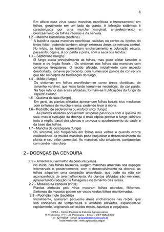 CPEA – Centro Paulista de Estudos Agropecuários
R.Pindorama, nº 7 – Jd. Pindorama – Embu – CEP 06844-540
Tel : 42418503 – Email cpeasp@agrocursos.org.br
Visite nosso site : www.agrocursos.org.br
6
Em alface esse vírus causa manchas necróticas e bronzeamento em
folhas, geralmente em um lado da planta. A Infecção sistêmica é
caracterizada por uma murcha marginal, amarelecimento e
bronzeamento de folhas internas e da nervura.
1.2 – Mancha bacteriana (bactéria)
A bactéria causa manchas necróticas isoladas no centro ou bordos do
limbo foliar, podendo também atingir extensas áreas da nervura central.
No início, as lesões apresentam encharcamento e coloração escura,
passando, depois, à cor parda e preta, com a seca dos tecidos.
1.3 – Septoriose (fungo)
O fungo ataca principalmente as folhas, mas pode afetar também a
haste e os órgão florais . Os sintomas nas folhas são manchas com
contornos irregulares. O tecido afetado, inicialmente com aspecto
desidratado, torna-se pardacento, com numerosos pontos de cor escura
que são os corpos de frutificação do fungo.
1.4 – Míldio (fungo)
Os sintomas em folhas manifestam-se como áreas cloróticas, de
tamanho variável, que mais tarde tornam-se necróticos, de cor parda.
Na face inferior das áreas afetadas, formam-se frutificações do fungo de
aspecto branco.
1.5 – Queima da saia (fungo)
Em geral, as plantas afetadas apresentam folhas basais e/ou medianas
com sintomas de murcha e seca, podendo levar à morte.
1.6– Podridão de esclerotínia ou mofo branco (fungo)
As plantas afetadas apresentam sintomas parecidos com a queima da
saia, mas a evolução da doença é mais rápida porque o fungo coloniza
toda a região basal das plantas e provoca o apodrecimento do caule e
da base das folhas.
1.7– Mancha de cercóspora (fungo)
Os sintomas são frequentes em folhas mais velhas e quando ocorre
coalescência de muitas manchas pode prejudicar o desenvolvimento da
planta e seu valor comercial. As manchas são circulares, pardacentas
com centro mais claro
2 - DOENÇAS DA CENOURA
2.1 – Amarelo ou vermelho da cenoura (vírus)
No início, nas folhas baixeiras, surgem manchas amarelas nos espaços
internervais e, posteriormente, com o desenvolvimento da doença, as
folhas adquirem uma coloração amarelada, que pode ou não ser
acompanhada de avermelhamento. As plantas afetadas são menores,
apresentando redução na folhagem e no tamanho das raízes.
2.2 – Mosaico da cenoura (vírus)
Plantas afetadas pelo vírus mostram folhas estreitas, filiformes.
Sintomas do mosaico podem ser vistos nestas folhas mal formadas.
2.3 - Podridão mole (bactéria)
Inicialmente, aparecem pequenas áreas encharcadas nas raízes, que
sob condições de temperatura e umidade elevadas, expandem-se
rapidamente, originando-se tecidos moles, aquosos e pegajosos.
 