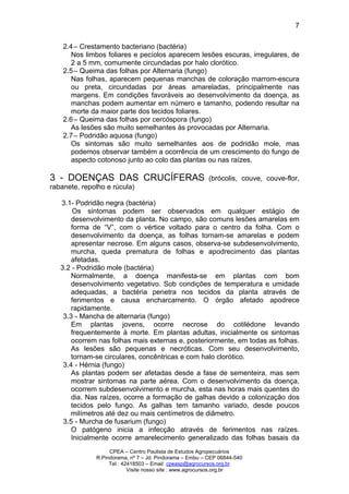 CPEA – Centro Paulista de Estudos Agropecuários
R.Pindorama, nº 7 – Jd. Pindorama – Embu – CEP 06844-540
Tel : 42418503 – Email cpeasp@agrocursos.org.br
Visite nosso site : www.agrocursos.org.br
7
2.4– Crestamento bacteriano (bactéria)
Nos limbos foliares e pecíolos aparecem lesões escuras, irregulares, de
2 a 5 mm, comumente circundadas por halo clorótico.
2.5– Queima das folhas por Alternaria (fungo)
Nas folhas, aparecem pequenas manchas de coloração marrom-escura
ou preta, circundadas por áreas amareladas, principalmente nas
margens. Em condições favoráveis ao desenvolvimento da doença, as
manchas podem aumentar em número e tamanho, podendo resultar na
morte da maior parte dos tecidos foliares.
2.6– Queima das folhas por cercóspora (fungo)
As lesões são muito semelhantes às provocadas por Alternaria.
2.7– Podridão aquosa (fungo)
Os sintomas são muito semelhantes aos de podridão mole, mas
podemos observar também a ocorrência de um crescimento do fungo de
aspecto cotonoso junto ao colo das plantas ou nas raízes.
3 - DOENÇAS DAS CRUCÍFERAS (brócolis, couve, couve-flor,
rabanete, repolho e rúcula)
3.1- Podridão negra (bactéria)
Os sintomas podem ser observados em qualquer estágio de
desenvolvimento da planta. No campo, são comuns lesões amarelas em
forma de “V”, com o vértice voltado para o centro da folha. Com o
desenvolvimento da doença, as folhas tornam-se amarelas e podem
apresentar necrose. Em alguns casos, observa-se subdesenvolvimento,
murcha, queda prematura de folhas e apodrecimento das plantas
afetadas.
3.2 - Podridão mole (bactéria)
Normalmente, a doença manifesta-se em plantas com bom
desenvolvimento vegetativo. Sob condições de temperatura e umidade
adequadas, a bactéria penetra nos tecidos da planta através de
ferimentos e causa encharcamento. O órgão afetado apodrece
rapidamente.
3.3 - Mancha de alternaria (fungo)
Em plantas jovens, ocorre necrose do cotilédone levando
frequentemente à morte. Em plantas adultas, inicialmente os sintomas
ocorrem nas folhas mais externas e, posteriormente, em todas as folhas.
As lesões são pequenas e necróticas. Com seu desenvolvimento,
tornam-se circulares, concêntricas e com halo clorótico.
3.4 - Hérnia (fungo)
As plantas podem ser afetadas desde a fase de sementeira, mas sem
mostrar sintomas na parte aérea. Com o desenvolvimento da doença,
ocorrem subdesenvolvimento e murcha, esta nas horas mais quentes do
dia. Nas raízes, ocorre a formação de galhas devido a colonização dos
tecidos pelo fungo. As galhas tem tamanho variado, desde poucos
milímetros até dez ou mais centímetros de diâmetro.
3.5 - Murcha de fusarium (fungo)
O patógeno inicia a infecção através de ferimentos nas raízes.
Inicialmente ocorre amarelecimento generalizado das folhas basais da
 