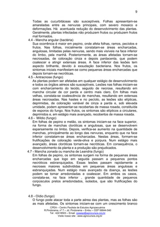 CPEA – Centro Paulista de Estudos Agropecuários
R.Pindorama, nº 7 – Jd. Pindorama – Embu – CEP 06844-540
Tel : 42418503 – Email cpeasp@agrocursos.org.br
Visite nosso site : www.agrocursos.org.br
9
Todas as cucurbitáceas são susceptíveis. Folhas apresentam-se
amareladas entre as nervuras principais, com severo mosaico e
deformações. Há acentuada redução do desenvolvimento das plantas.
Geralmente, plantas infectadas não produzem frutos ou produzem frutos
mal formados.
4.4 - Mancha angular (bactéria)
Sua ocorrência é maior em pepino, onde afeta folhas, ramos, pecíolos e
frutos. Nas folhas, inicialmente constatam-se áreas encharcadas,
angulosas, limitadas pelas nervuras, sendo mais visíveis na face inferior
do limbo, pela manhã. Posteriormente, as áreas afetadas tornam-se
necrosadas, de coloração cinza e depois pardacenta, que podem
coalescer e atingir extensas áreas. A face inferior das lesões tem
aspecto brilhante, devido à exsudação bacteriana. Nos frutos, os
sintomas iniciais manifestam-se como pequenas áreas encharcadas que
depois tornam-se necróticas.
4.5 - Antracnose (fungo)
As plantas podem ser afetadas em qualquer estágio de desenvolvimento
e todos os órgãos aéreos são susceptíveis. Lesões nas folhas iniciam-se
com encharcamento do tecido, seguido de necrose, resultando em
mancha circular de cor parda e centro mais claro. Em folhas mais
velhas, constata-se coalescência de manchas, resultando em extensas
áreas necrosadas. Nas hastes e no pecíolo, as lesões são elípticas,
deprimidas, de coloração variável de cinza a parda e, sob elevada
umidade, podem apresentar-se recobertas de massa rosada, constituída
de esporos do fungo. Nos frutos, os sintomas são elípticos a circulares,
deprimidos e, em estágio mais avançado, recobertos de massa rosada.
4.6 - Míldio (fungo)
Em folhas de pepino e melão, os sintomas iniciam-se na face superior,
na forma de manchas cloróticas e angulosas, que se desenvolvem
esparsamente no limbo. Depois, verifica-se aumento na quantidade de
manchas, principalmente ao longo das nervuras, enquanto que na face
inferior constatam-se áreas encharcadas. Nestas áreas, formam-se
frutificações de coloração verde-oliva e púrpura. Num estágio mais
avançado, áreas cloróticas tornam-se necróticas. Em consequência, o
desenvolvimento da planta e a produção são prejudicados.
4.7 - Mancha zonada ou mancha de Leandria (fungo)
Em folhas de pepino, os sintomas surgem na forma de pequenas áreas
encharcadas que logo em seguida passam a pequenos pontos
necróticos esbranquiçados. Essas lesões passam rapidamente a
necroses maiores subdivididas em pequenas áreas angulosas e
esbranquiçadas. Num estágio mais avançado da doença, as lesões
podem se tornar arredondadas e coalescer. Em ambos os casos,
constata-se, na face inferior , grande quantidade de pequenos
corpúsculos pretos arredondados, isolados, que são frutificações do
fungo.
4.8 - Oídio (fungo)
O fungo pode atacar toda a parte aérea das plantas, mas as folhas são
as mais afetadas. Os sintomas iniciam-se com um crescimento branco
 