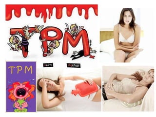 Controle hormonal do ciclo menstrual