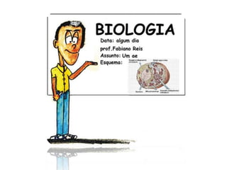 Controle hormonal do ciclo menstrual