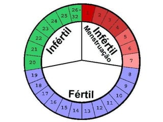 Controle hormonal do ciclo menstrual