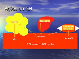 Ações do GH    Glicose;    AGL;    Aa Glicogênio Glicose    Proteínas O 2 -Gord. AGL TAG Aa e AGL 