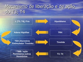 Mecanismo de liberação e de ação do T3; T4    [T3; T4], Frio Hipotálamo TRH Adeno Hipófise TSH (Hormônio  Estimulador Tireóide) Tireóide T3; T4 TMB / ação  Permissiva outros Hormônios 