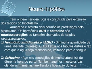 Neuro-hipófise
       Tem origem nervosa, pois é constituída pela extensão
dos tecidos do hipotálamo.
       Armazena e secreta dois hormônios produzidos pelo
hipotálamo. Os hormônios ADH e ocitocina são
neurossecreções ou também chamados de células
neurossecretoras.
 Hormônio antidiurético (ADH) - Diminui a quantidade de
  urina liberada (diurese). O ADH atua nos túbulos distais e faz
  com que a água seja reabsorvida, voltando para o sangue.

 Ocitocina - Age nas contrações da musculatura lisa do
  útero na hora do parto. Também age nos músculos das
  glândulas mamárias, auxiliando a liberação do leite.
 