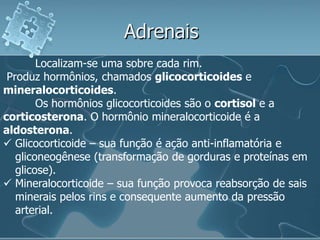 Adrenais
        Localizam-se uma sobre cada rim.
 Produz hormônios, chamados glicocorticoides e
mineralocorticoides.
        Os hormônios glicocorticoides são o cortisol e a
corticosterona. O hormônio mineralocorticoide é a
aldosterona.
 Glicocorticoide – sua função é ação anti-inflamatória e
   gliconeogênese (transformação de gorduras e proteínas em
   glicose).
 Mineralocorticoide – sua função provoca reabsorção de sais
   minerais pelos rins e consequente aumento da pressão
   arterial.
 