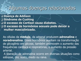 Algumas doenças relacionadas
 Doença de Addison
 Síndrome de Cushing
 O excesso de Cortisol causa diabetes.
 O excesso de hormônios sexuais pode deixar a
  mulher masculinizada.

 As células da medula, da adrenal produzem adrenalina e
 noradrenalina. Esses hormônios auxiliam na transformação
 de glicogênio em glicose, também promovem o aumento das
 frequências cardíaca e respiratórias, o aumento da pressão
 arterial.
  A liberação de adrenalina ocorre em diversas situações como
 estresse, dor, susto, medo ou raiva.
 