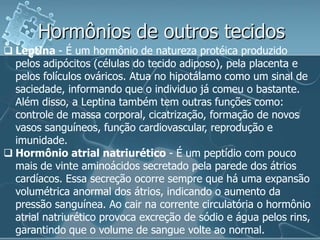 Hormônios de outros tecidos
 Leptina - É um hormônio de natureza protéica produzido
  pelos adipócitos (células do tecido adiposo), pela placenta e
  pelos folículos ováricos. Atua no hipotálamo como um sinal de
  saciedade, informando que o individuo já comeu o bastante.
  Além disso, a Leptina também tem outras funções como:
  controle de massa corporal, cicatrização, formação de novos
  vasos sanguíneos, função cardiovascular, reprodução e
  imunidade.
 Hormônio atrial natriurético - É um peptídio com pouco
  mais de vinte aminoácidos secretado pela parede dos átrios
  cardíacos. Essa secreção ocorre sempre que há uma expansão
  volumétrica anormal dos átrios, indicando o aumento da
  pressão sanguínea. Ao cair na corrente circulatória o hormônio
  atrial natriurético provoca excreção de sódio e água pelos rins,
  garantindo que o volume de sangue volte ao normal.
 