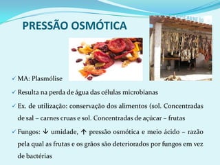 121ºC a 1 atm de pressão (15 libras de pressãoporpolegadaquadrada – psi)AUTOCLAVE