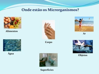 Germes ao redor de uma ferida devem ser eliminados