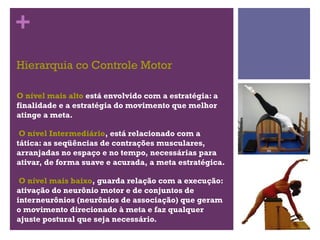 +
Hierarquia co Controle Motor

O nível mais alto está envolvido com a estratégia: a
finalidade e a estratégia do movimento que melhor
atinge a meta.

 O nível Intermediário, está relacionado com a
tática: as seqüências de contrações musculares,
arranjadas no espaço e no tempo, necessárias para
ativar, de forma suave e acurada, a meta estratégica.

 O nível mais baixo, guarda relação com a execução:
ativação do neurônio motor e de conjuntos de
interneurônios (neurônios de associação) que geram
o movimento direcionado à meta e faz qualquer
ajuste postural que seja necessário.
 