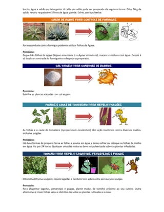 bucha, água e sabão ou detergente. A calda de sabão pode ser preparada da seguinte forma: Dilua 50 g de
sabão neutro raspado em 5 litros de água quente. Esfrie, coe e pulverize.

                          Calda de Agave para controle de formigas




Para o combate contra formigas podemos utilizar folhas de Agave.

Protocolo:
Pegue três folhas de agave (Agave americana L. e Agave atrovirens), macere e misture com água. Depois é
só localizar a entrada do formigueiro e despejar o preparado.

                              Cal virgem para controle de ácaros




Protocolo:
Polvilhe as plantas atacadas com cal virgem.


                    Folhas e caule de Tomateiro para repelir pulgões




As folhas e o caule do tomateiro (Lycopersicum esculentum) têm ação inseticida contra diversos insetos,
inclusive pulgões.

Protocolo:
Há duas formas de preparo: ferva as folhas e caules em água e deixe esfriar ou coloque as folhas de molho
em água fria por 24 horas. Qualquer uma das misturas deve ser pulverizada sobre as plantas infestadas.

                  Tomilho para repelir lagartas, percevejos e pulgas




O tomilho (Thymus vulgaris) repele lagartas e também tem ação contra percevejos e pulgas.

Protocolo:
Para afugentar lagartas, percevejos e pulgas, plante mudas de tomilho próximo ao seu cultivo. Outra
alternativa é moer folhas secas e distribuí-las sobre as plantas cultivadas e o solo.
 