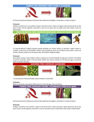 Pimenta como repelente para pulgão e cochonilha




Os frutos da pimenta (Capsicum annuum) são repelentes de pulgões, cochonilhas e insetos em geral.

Protocolo:
Coloque a pimenta em uma vasilha e soque-a até triturar bem. Cubra com água e deixe descansar de um dia
para o outro. No dia seguinte, mexa bem e coe em um pano ralo ou coador para não entupir o bico do
pulverizador.
    cravo-de-defunto para controlar nematóides, broca-do-tomate e pulgas




O cravo-de-defunto (Tagetes patula) quando plantado em hortas, jardins ou pomares, repele insetos e
mantém o solo livre de nematóides. Plante cravo-de-defunto junto aos tomateiros para evitar a broca do
tomate. Quando usada como cama para cães, ela também afugenta pulgas.

Protocolo:
Para repelir insetos, macere folhas e flores e coloque-as em álcool diluído em água por 12 horas. Para 200 g
da planta macerada, utilize 1 litro de álcool. Neste caso, dilua o extrato em 15 litros de água e pulverize
sobre as plantas atacadas.
                            Mostarda para controlar cochonilhas




As sementes da mostarda (Sinapis alba) combatem cochonilhas.

Protocolo:
Moer as sementes misturando 100 g do pó em 1 litro de água. Coe e pulverize.
          Pimenta para controlar pulgões, cochonilhas e insetos em geral




Os frutos da pimenta (Capsicum annuum) são repelentes de pulgões, cochonilhas e insetos em geral.

Protocolo:
Coloque a pimenta numa vasilha e soque-a até triturar bem. Cubra com água e deixe descansar de um dia
para o outro. No dia seguinte, mexa bem e coe em um pano ralo ou coador para não entupir o pulverizador.
 