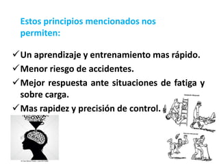 Un aprendizaje y entrenamiento mas rápido.
Menor riesgo de accidentes.
Mejor respuesta ante situaciones de fatiga y
sobre carga.
Mas rapidez y precisión de control.
Estos principios mencionados nos
permiten:
 