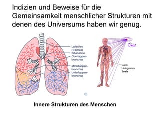 Indizien und Beweise für die 
Gemeinsamkeit menschlicher Strukturen mit 
denen des Universums haben wir genug. 
Innere Strukturen des Menschen 
 