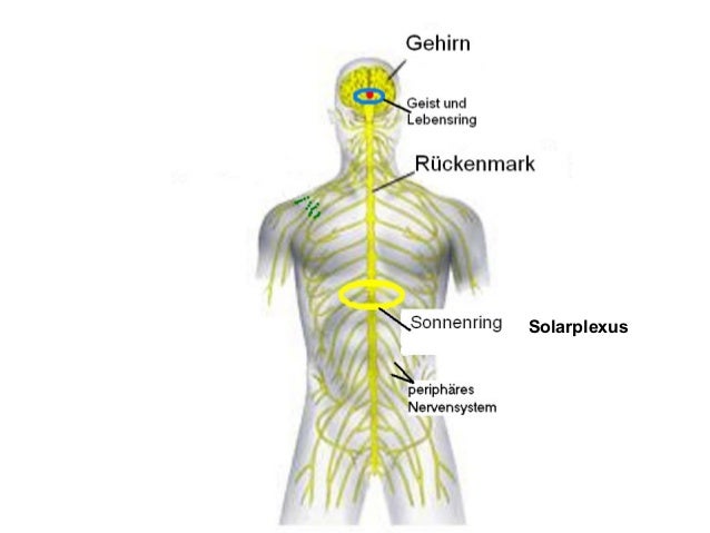 Wo Ist Der Solar Plexus