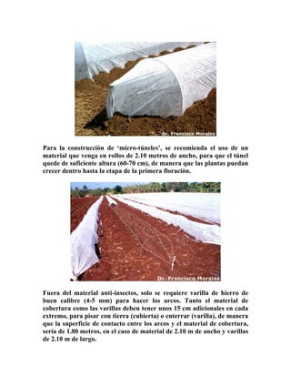 Para la construcción de ‘micro-túneles’, se recomienda el uso de un
material que venga en rollos de 2.10 metros de ancho, ...