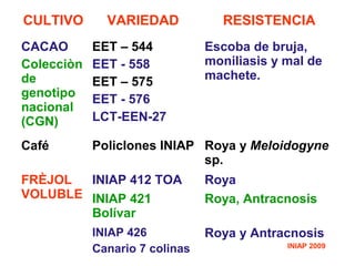 CULTIVO VARIEDAD RESISTENCIA
CACAO
Colecciòn
de
genotipo
nacional
(CGN)
EET – 544
EET - 558
EET – 575
EET - 576
LCT-EEN-27...