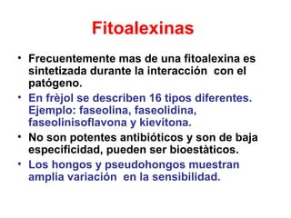 Fitoalexinas
• Frecuentemente mas de una fitoalexina es
sintetizada durante la interacción con el
patógeno.
• En frèjol se...
