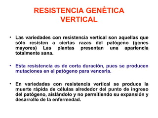 RESISTENCIA GENÈTICA
VERTICAL
• Las variedades con resistencia vertical son aquellas que
sólo resisten a ciertas razas del...