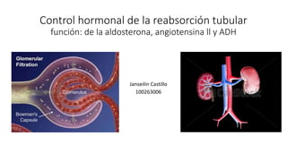 Control hormonal de la reabsorción tubular
función: de la aldosterona, angiotensina ll y ADH
Janseilin Castillo
100263006
 