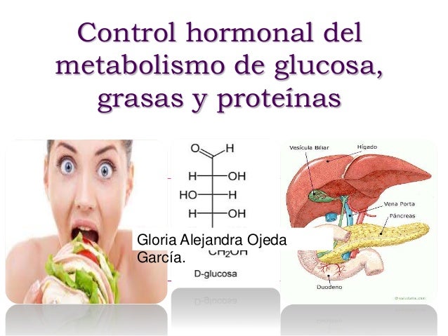 metabolismo basal que es experiencia