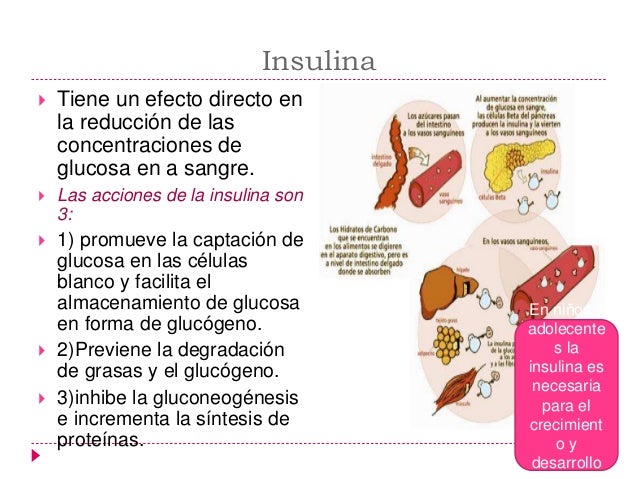 Control hormonal del metabolismo de glucosa, grasas y Control hormonal del metabolismo de glucosa, grasas y