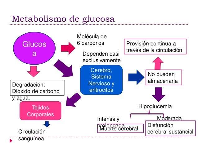 Control hormonal del metabolismo de glucosa, grasas y Control hormonal del metabolismo de glucosa, grasas y