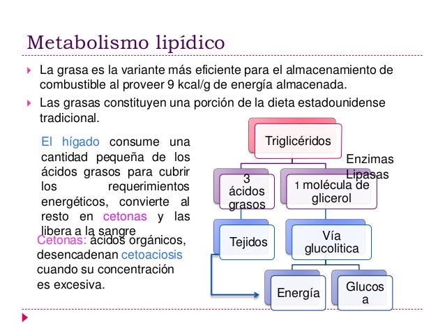 Control hormonal del metabolismo de glucosa, grasas y Control hormonal del metabolismo de glucosa, grasas y