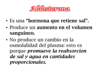Aldosterona
• Es una “hormona que retiene sal”.
• Produce un aumento en el volumen
  sanguineo.
• No produce un cambio en la
  osmolalidad del plasma: esto es
  porque promueve la reabsorcion
  de sal y agua en cantidades
  proporcionales.
 