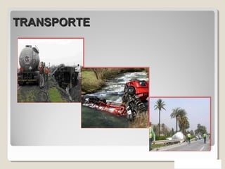 TRANSPORTETRANSPORTE
 