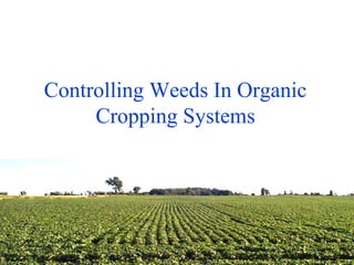 Controlling Weeds In Organic
Cropping Systems
Name of Presenter

 