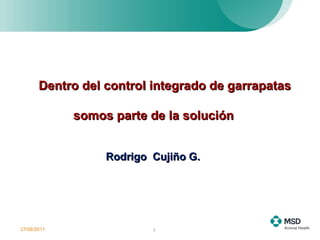 27/06/2011 Dentro del control integrado de garrapatas  somos parte de la solución  Rodrigo  Cujiño G. 