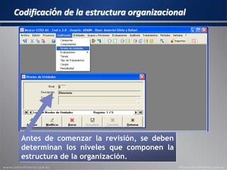 Codificación de la estructura organizacional
Antes de comenzar la revisión, se deben
determinan los niveles que componen la
estructura de la organización.
 