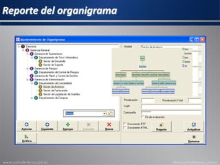 Reporte del organigrama
 
