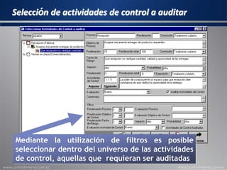 Selección de actividades de control a auditar
Mediante la utilización de filtros es posible
seleccionar dentro del universo de las actividades
de control, aquellas que requieran ser auditadas
 