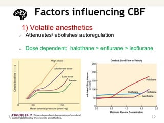 Factors influencing CBF
1) Volatile anesthetics
 Attenuates/ abolishes autoregulation
 Dose dependent: halothane > enflurane > isoflurane
3/11/2022 12
 