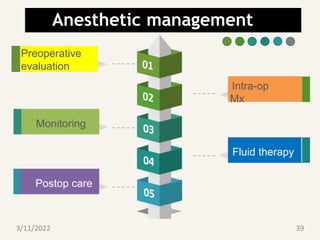 Anesthetic management
Preoperative
evaluation
Postop care
Monitoring
Intra-op
Mx
Fluid therapy
3/11/2022 39
 